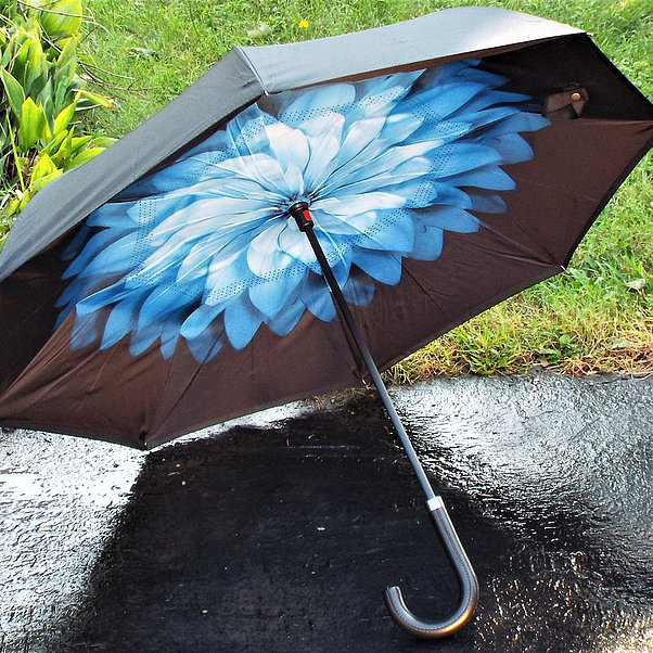 Echo Umbrella